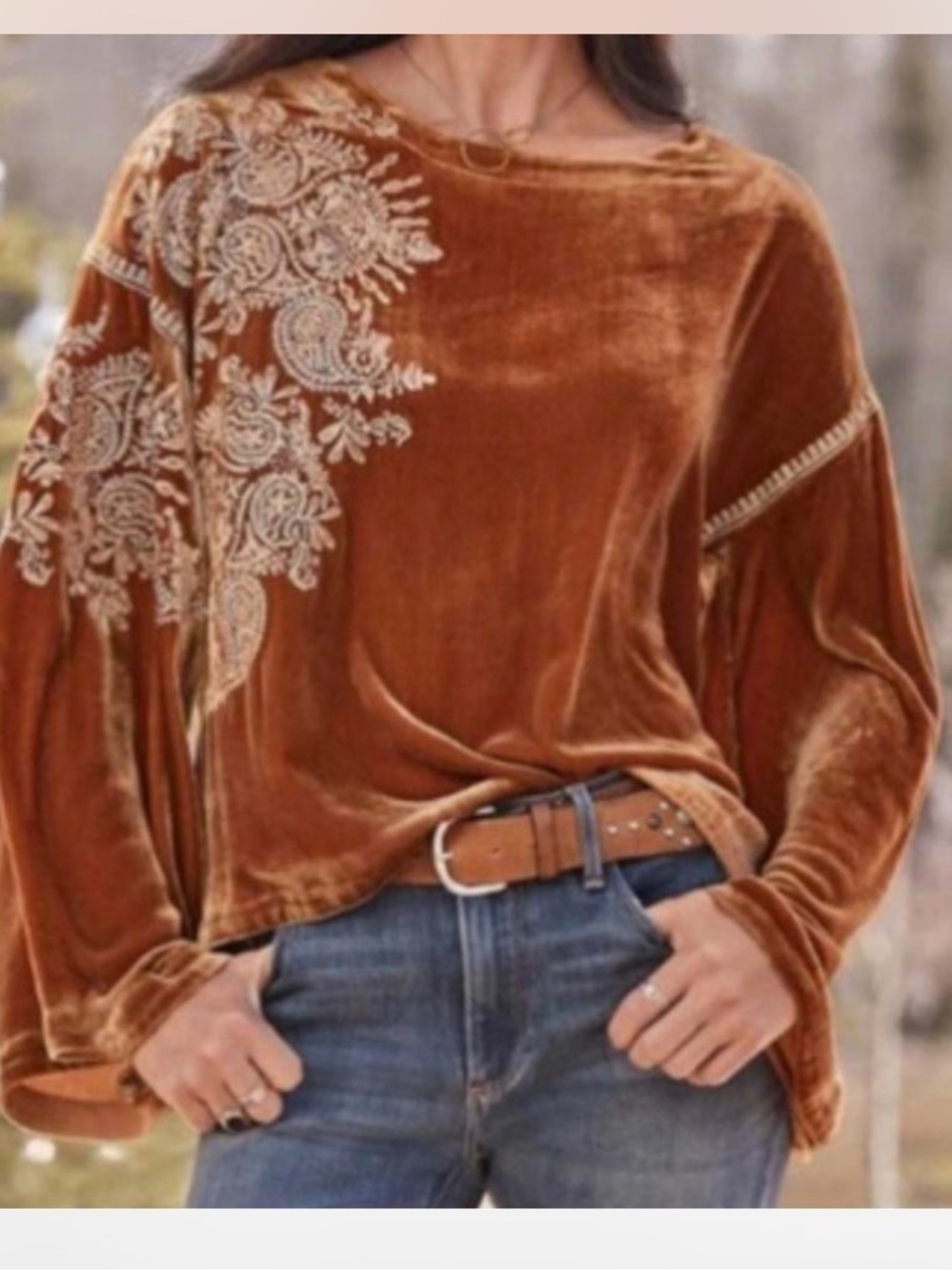 Sundance Dreams In Harvest Silk Blend Velvet Embroidered top size Large